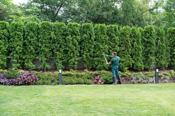 Artificial Turf Installation in Hartley, IA